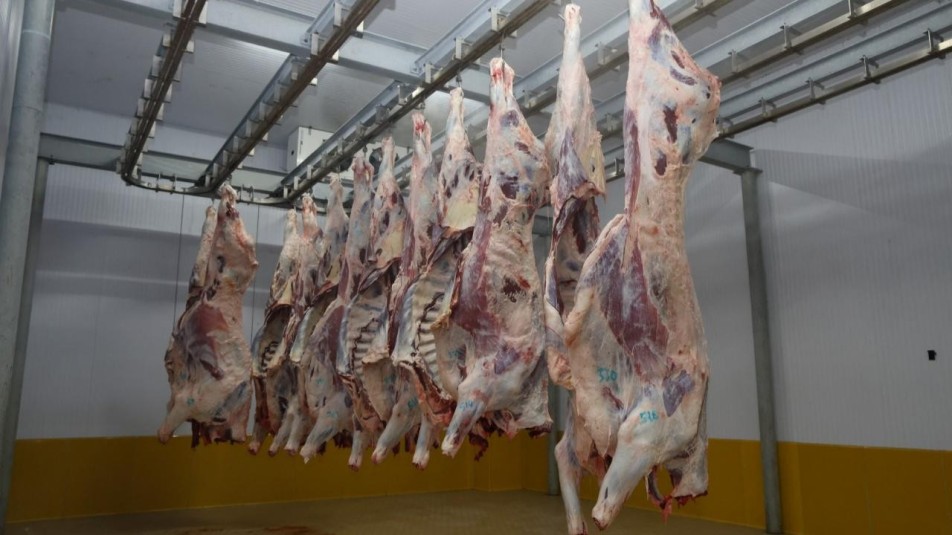 Büyükşehir Mezbahası'nda hijyenik ve helal kesim