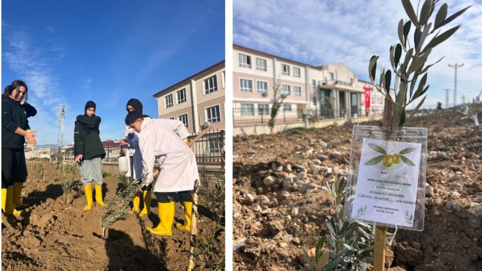 Hatay'a Depremde Yitirilen Öğretmenler İçin Zeytinlik